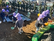 乳児クラス　１月の様子🎵