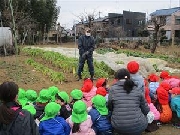 大根抜きに行ったよ♪（年少組）