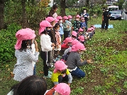 芋ほりに行ったよ！(年中組)